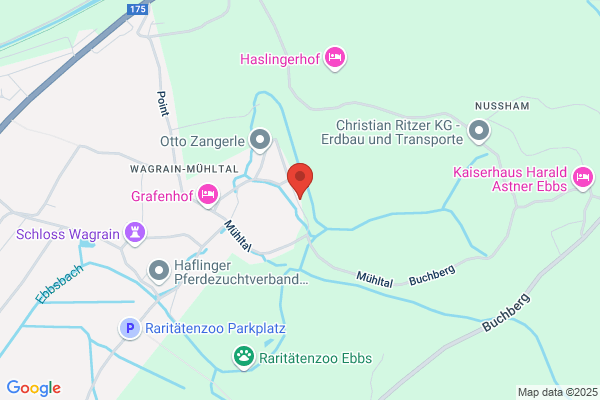 Herbert Baumgartner