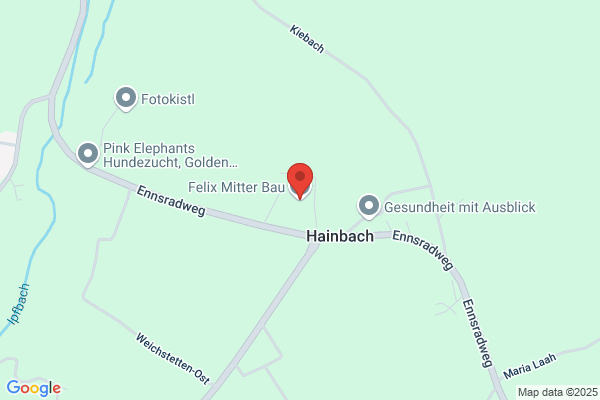 Felix Mitter Bau GmbH