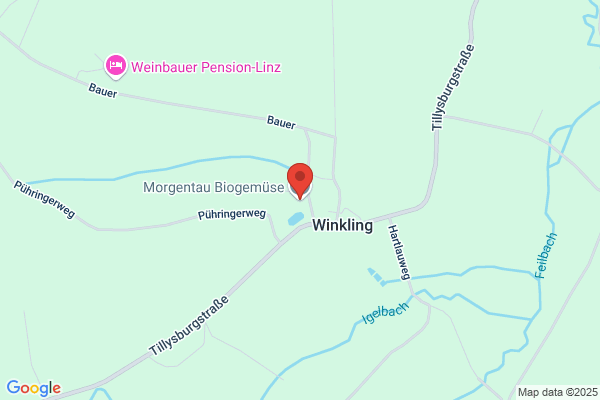 Morgentau Biogemuese Ges.mbH