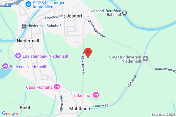 Zass – Stallbodensanierung