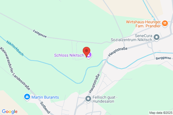 Buczolits-Schreiber