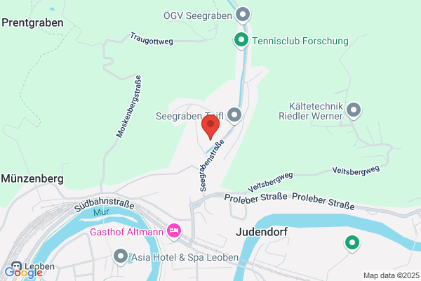 Scharf und Moitzi OEG
