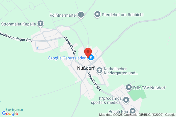 Wagnerei Junger