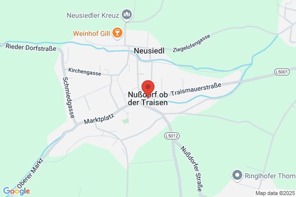 Adolf Netzer