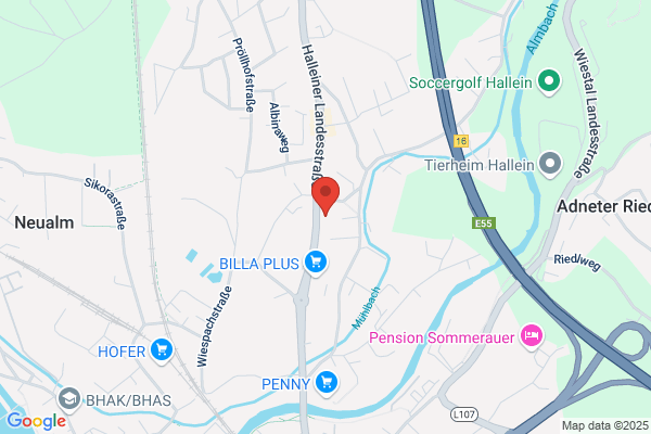 Karl Nessling