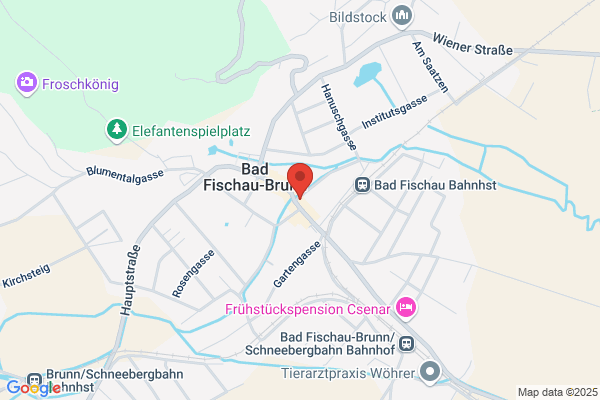 Calor Center Wr. Neustadt Dr. Sklenar