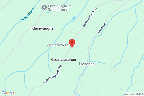 Zirnstein-Fruehwirth OEG