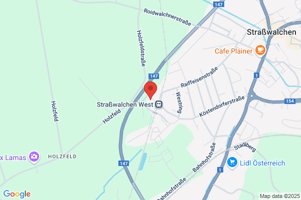 Krankenpfl.Verein Straßwalchen Hauskrankenpfl.,Haushaltsweiterführung&Seniorentageszentrum