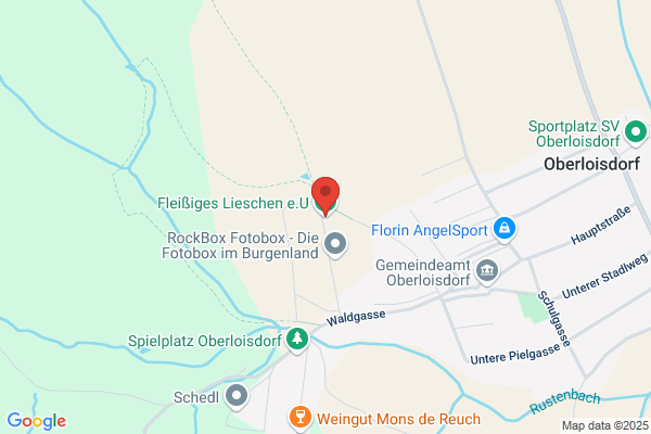 Pflaster- und Garten- gestaltungsGmbH