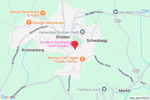 Aichholzer Immobilien