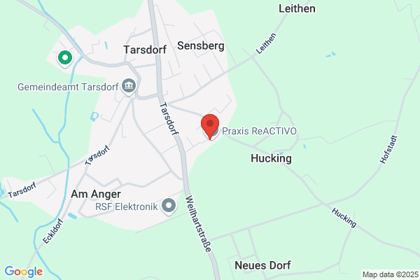 Bellinghausen Ges.mbH