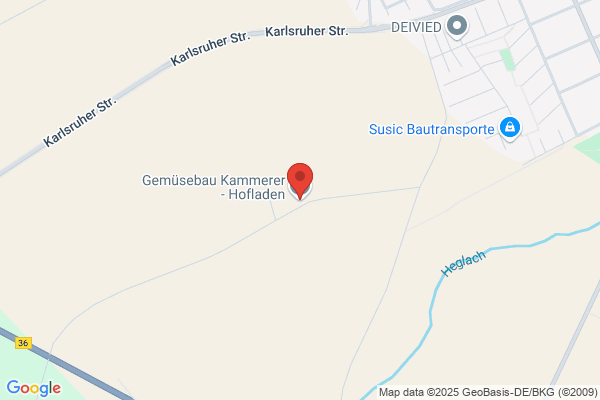 Kammerer Karl's Erben