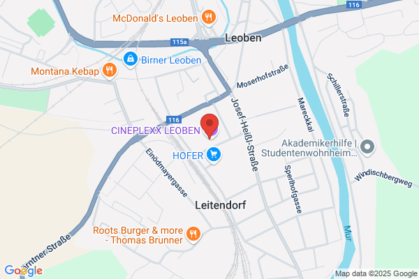 Finding und Leitner OEG