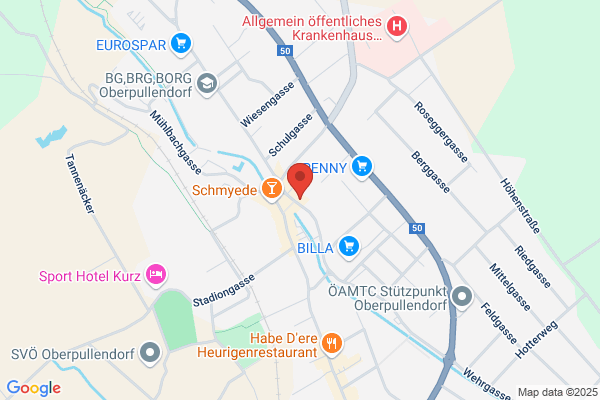 Sozialdemokratische Partei Oesterreichs