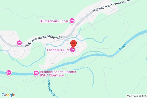 Die Schneider Meisterin - Waltraud Eggenreitter