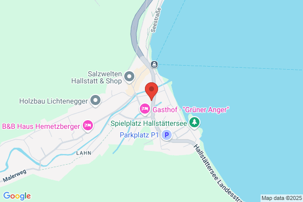 Forum Hallstatt Feichtinger- Gaisberger- Wallner Erwachsenenbildung OEG