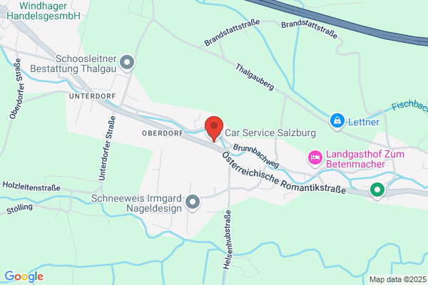Ingenieur OEG Moser u. Dellemann