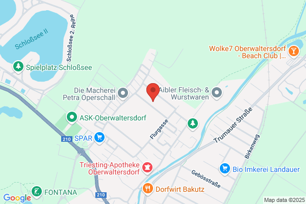 Elektro Gausch