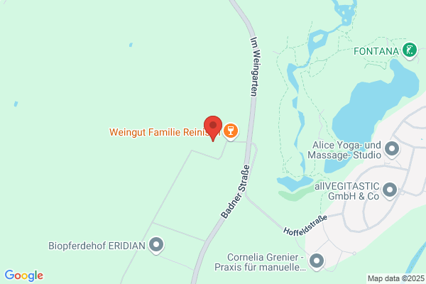 Landgasthaus im Weingarten - Johanneshof