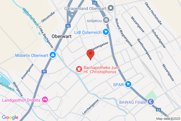 Stefan Gulyas