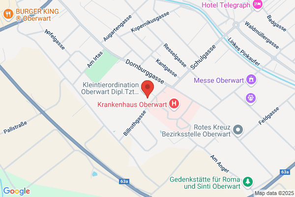 Reisner & Sinzinger Medizinische Software GmbH