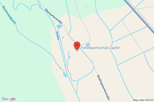 Zapfel Erwin Forstbaumschule