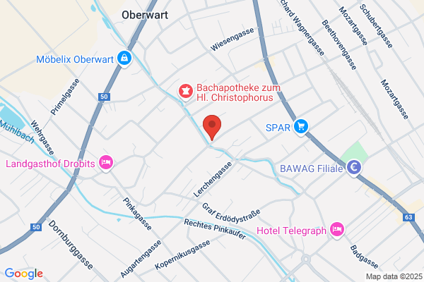 Dipl-TA Dr. Wilhelm Baldasti
