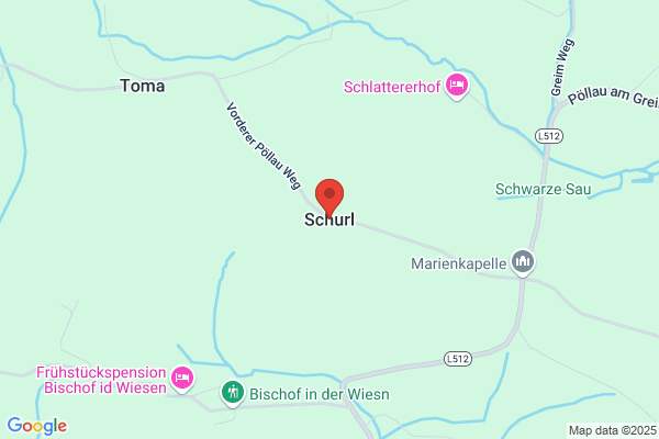 Franz Schurl