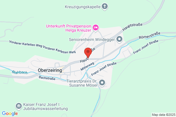 Traffler OEG