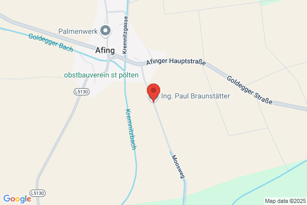 Braunstaetter Paul Ing