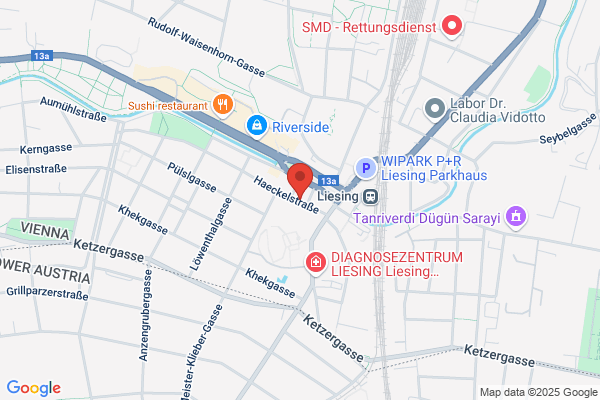 Gericht Liesing