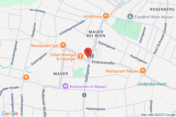 Paracelsus- Apotheke Mag Lotte Lindner und Co KG