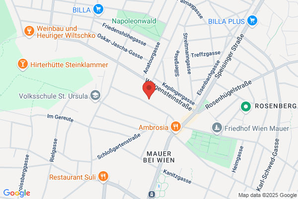 Condor Management Consulting Gesellschaft m.b.H.