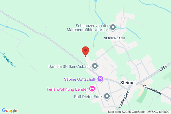 Brennsteindienst