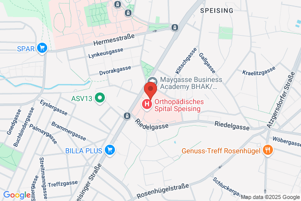 Missionskongregation der Dienerinnen des hl. Geistes