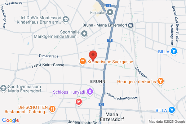 Sozialdemokratische Partei Oesterreichs