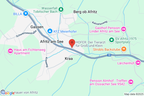 Alt-Kaerntner Bauernstub'n
