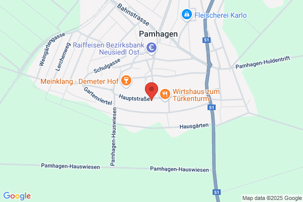Seewinkl Rebellen