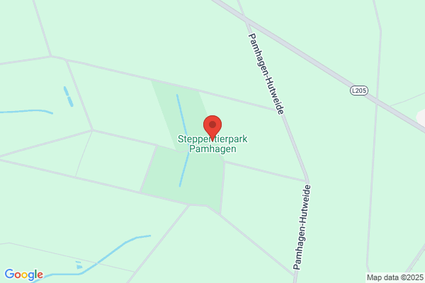 Thuernbeck Stefan GesmbH