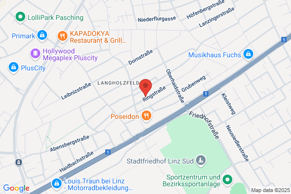 Woisetschlaeger Reither Terlinden OEG