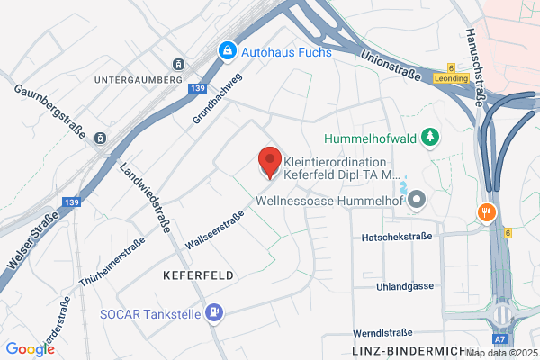 Onkelwirt Georg Scherfler