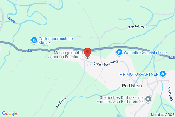 Johanna Friesinger OEG