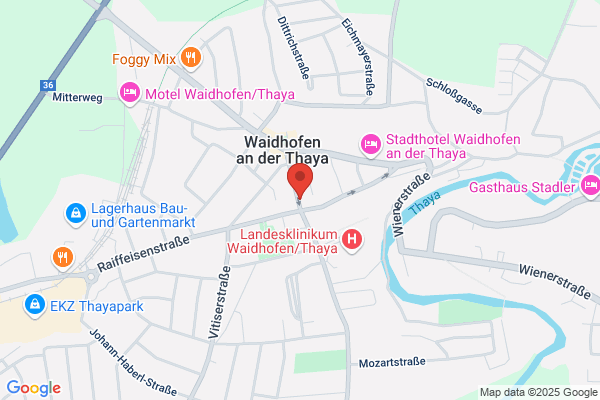 Vereinigung Waldv. Kuenstler