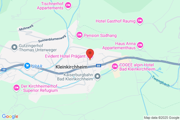 Hotel Praegant Ges. mbH und Co KG
