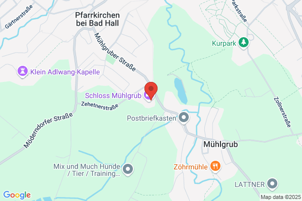 P. und W. Schluesslmayr Ges. mbH