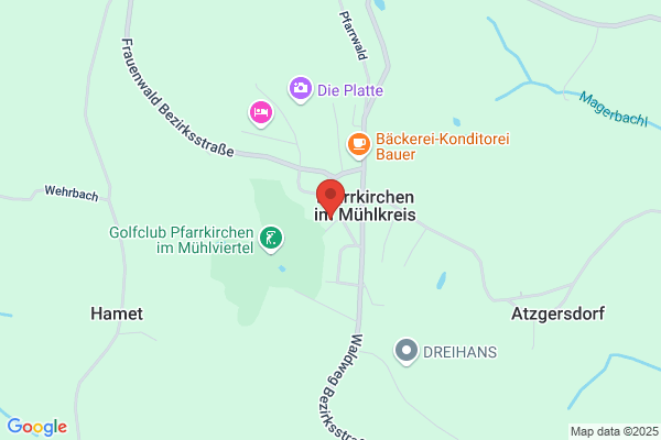 Freiwillige Feuerwehr