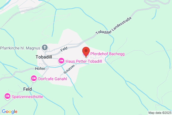 Pferdehof Bachegg