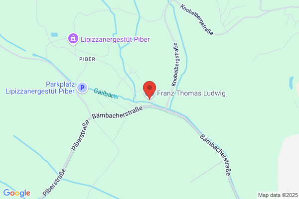 Ludwig Franz Thomas