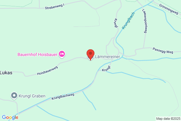 Erdbewegungen Laemmereiner