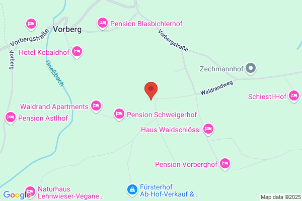 Haus Ferienglueck Bachler Gerhard
